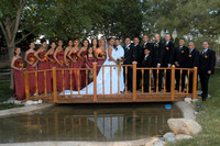 Wedding party on bridge