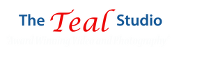 The Teal Studio